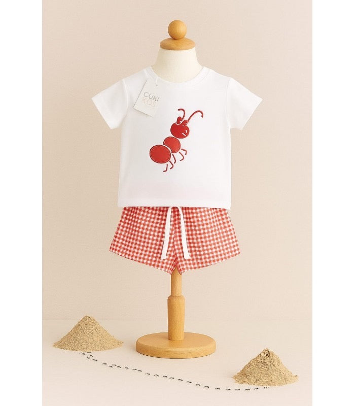 Conjunto